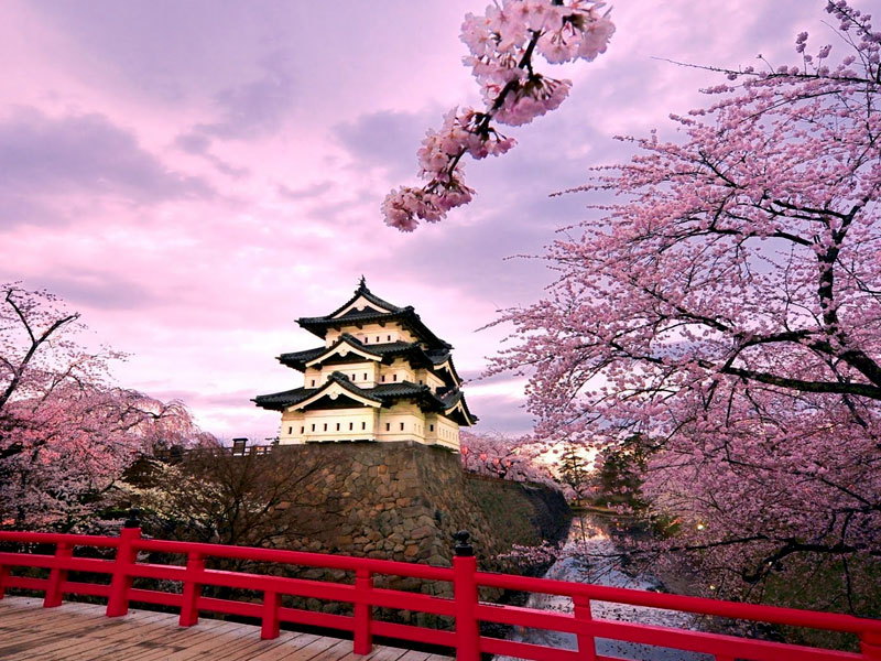 japan tour packages from bangalore